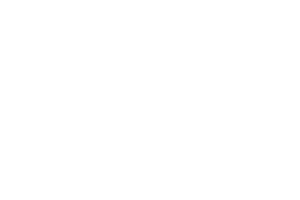 MindX Logo